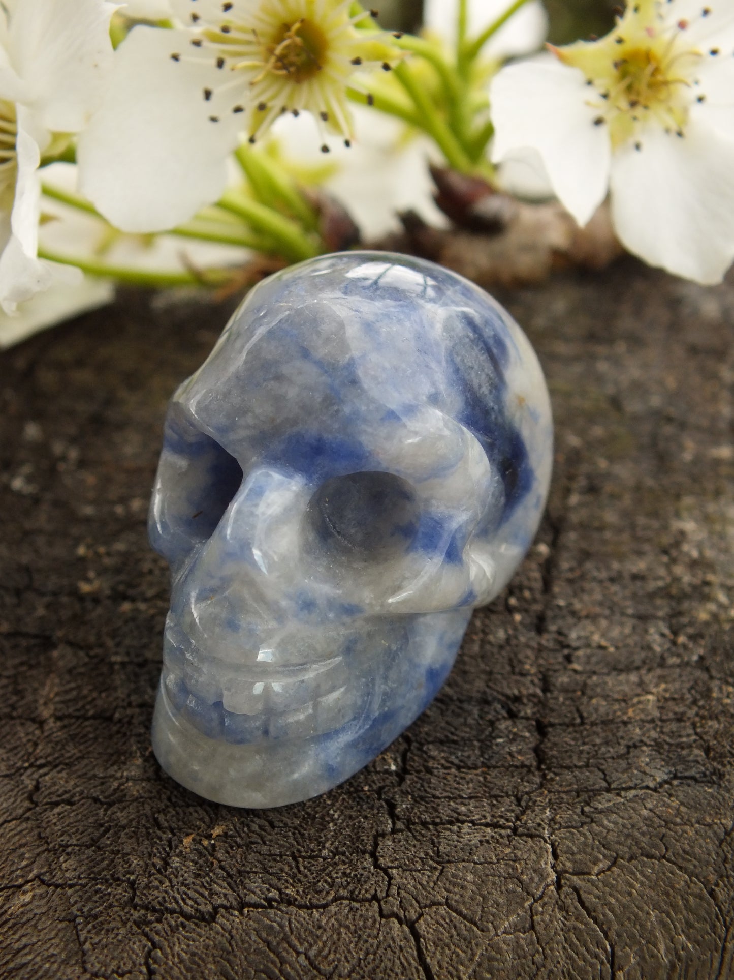 Sodalite Crystal Skull