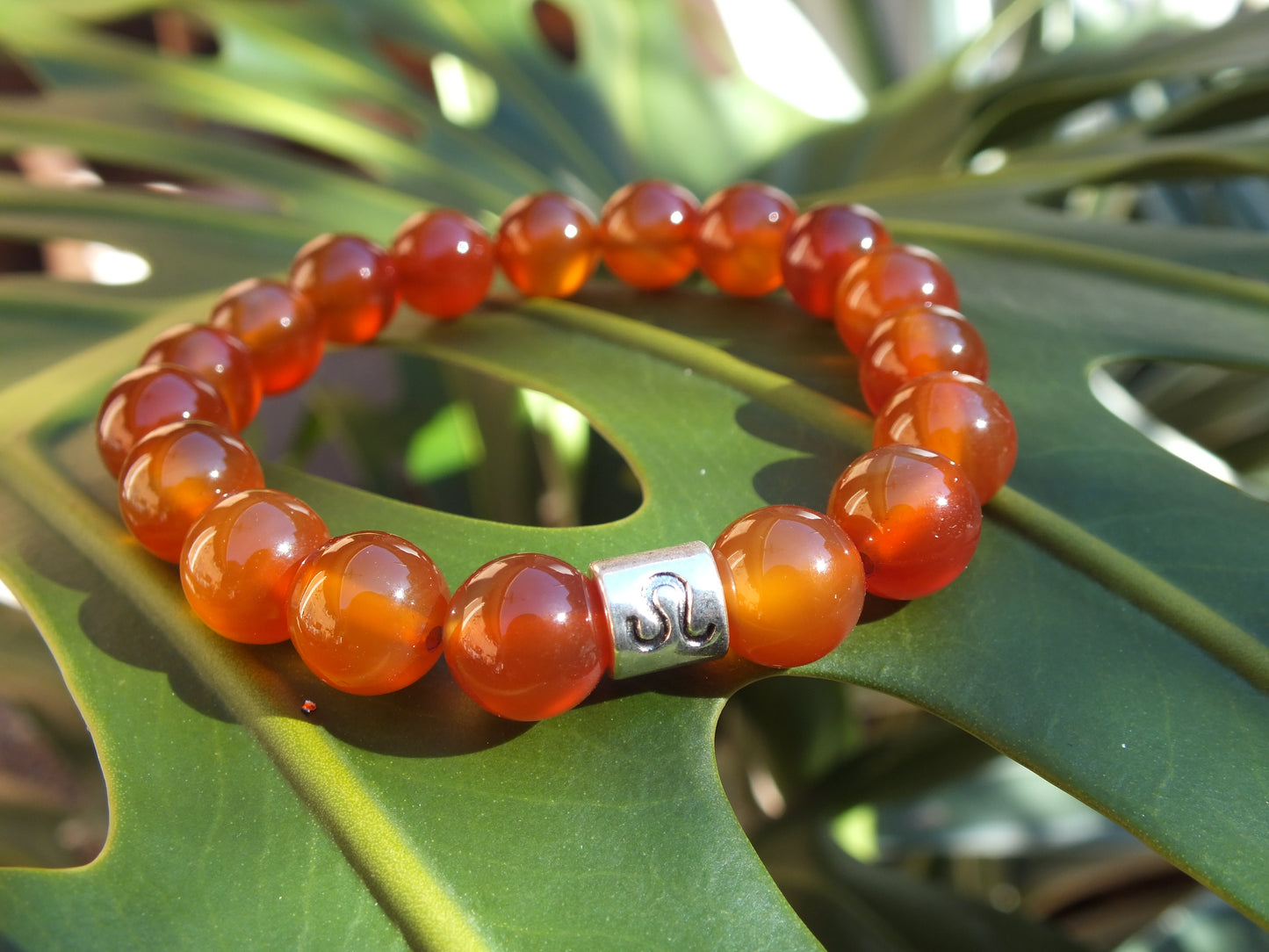 Carnelian Leo Bracelet